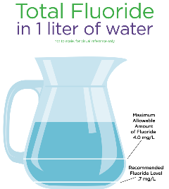 Fluoride Pitcher