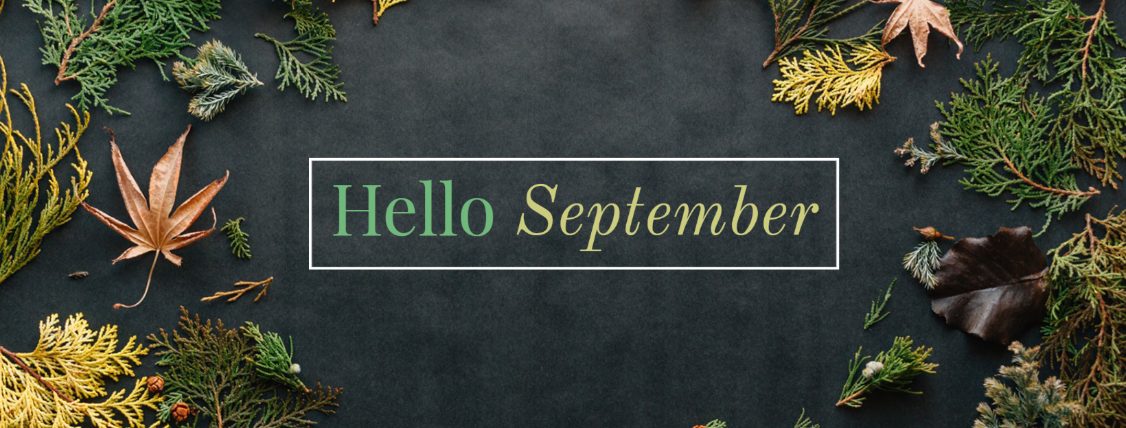 September is the slowest month for many dentists—the best time to schedule your appointment. September is the slowest month for many dentists—the best time to schedule your appointment.
