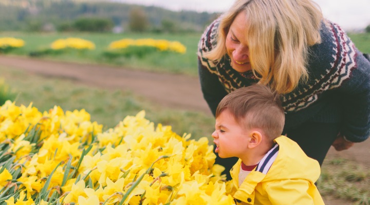 Woman and little boy looking at yellow daffodils